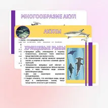 Презентация «Хрящевые и костные рыбы». Биология 8 класс.