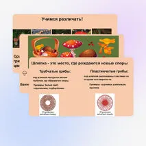 Презентация 