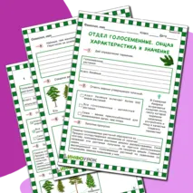 Отдел Голосеменные. Общая характеристика и значение