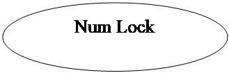 Овал: Num Lock