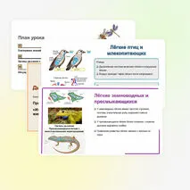 Презентация: 