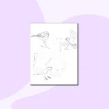 Книжка-раскраска для детей на тему «Синичкин день!»