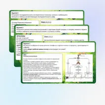 Презентация «Разбор заданий ОГЭ по биологии. Вариант 1» (задания 1–26)