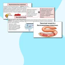 Презентация по теме: «Транспорт веществ у беспозвоночных животных». + Практическая работа №4 «Ознакомление с системами органов транспорта веществ у животных».