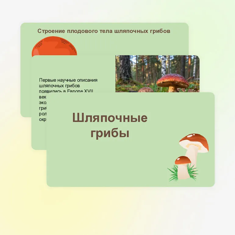 Презентация 