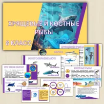 Презентация «Хрящевые и костные рыбы». Биология 8 класс.