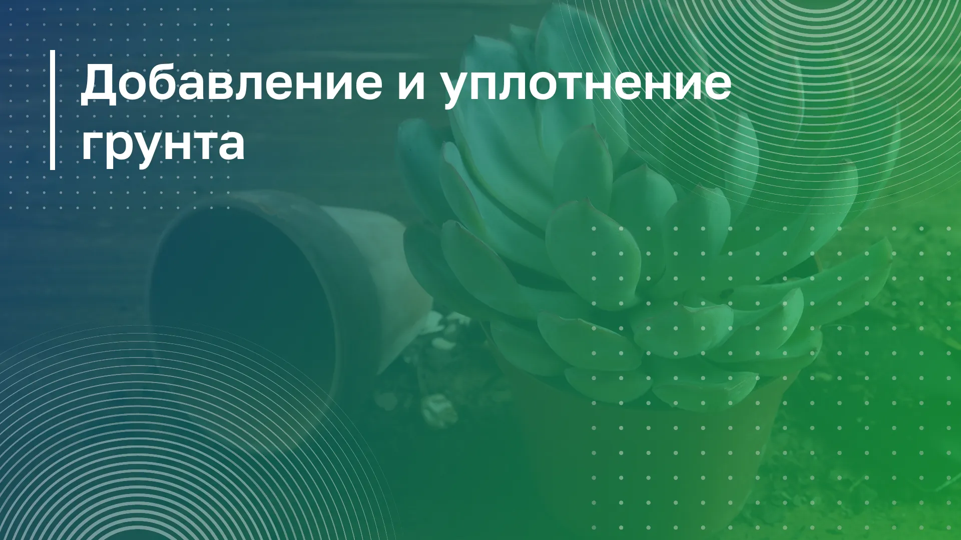 Обложка курса