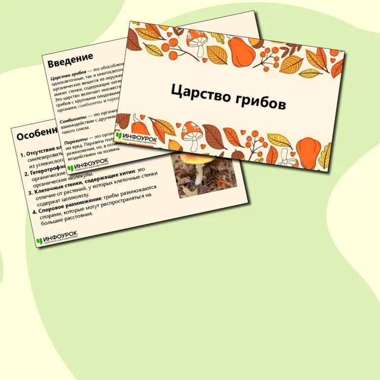 Презентация 