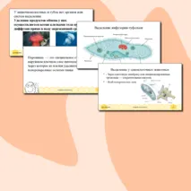 Презентация для урока по биологии 8 класс 