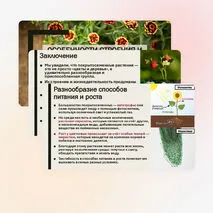 Презентация «Особенности строения и жизнедеятельности покрытосеменных растений»