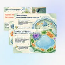 Презентация 