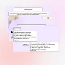 Презентация: «Правописание личных окончаний глаголов и суффиксов причастий»
