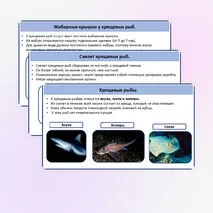 Хрящевые и костные рыбы.