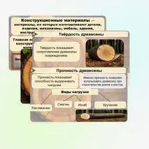 Презентация «Виды и свойства конструкционных материалов. Древесина. Практическая работа 