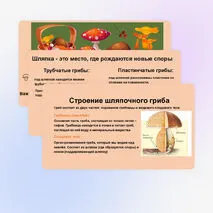 Презентация 