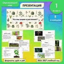 Презентация «Что мы знаем о растениях? Что общего у разных растений?» по окружающему миру, 1 класс