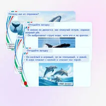 Презентация «Всемирный день китов и дельфинов».