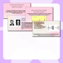 Презентация 