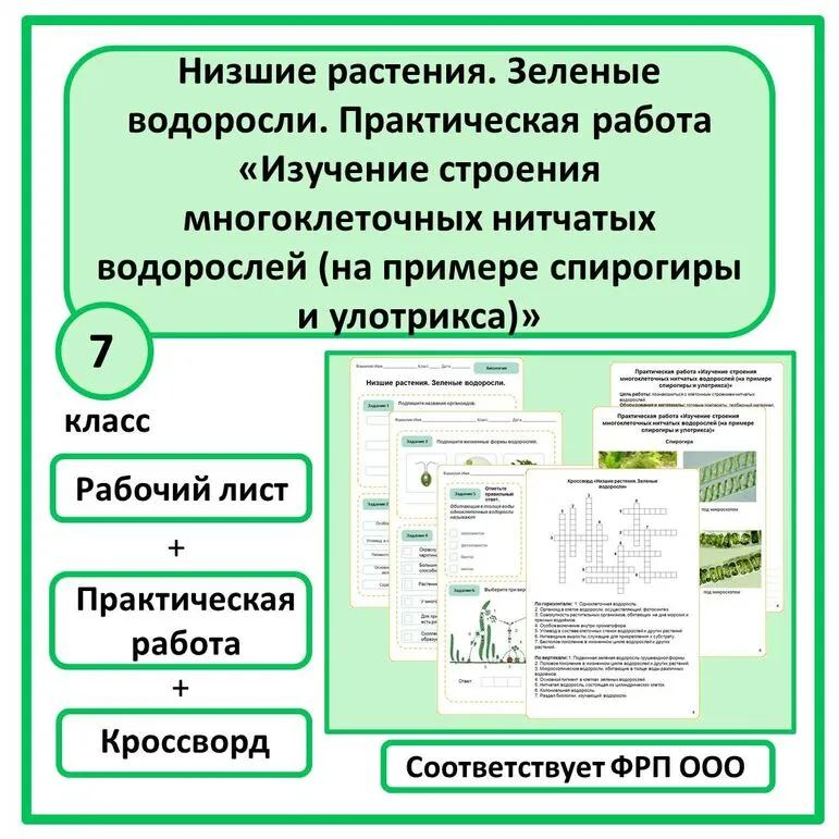 Рабочий лист по биологии 