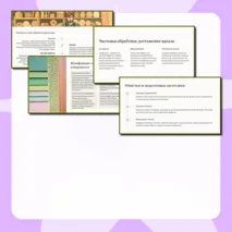 Презентация по технологии (труд) для 5 класса по теме: 