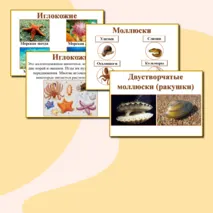 Наглядный материал 