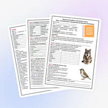 Практическая работа по биологии, 5 класс. Тема: «Ознакомление с принципами систематики организмов»