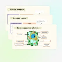 Презентация + рабочий лист «Растительная клетка, её изучение»