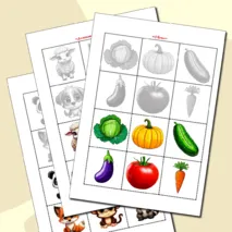Дидактическая игра 