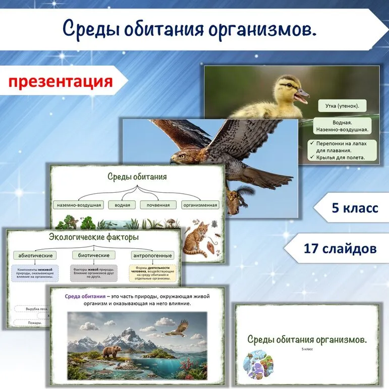 Презентация «Среды обитания организмов», 5 класс