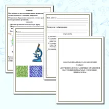 Рабочий лист. Лабораторная работа по биологии для 5 класса. Изучение клеток различных организмов на готовых препаратах с помощью микроскопа