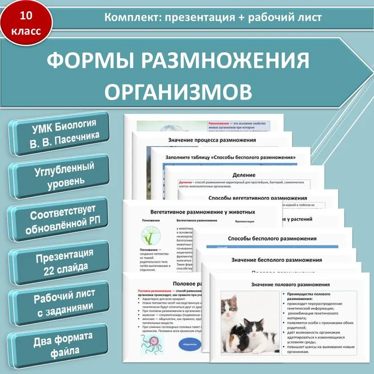 Комплект: презентация + рабочий лист по теме «Формы размножения организмов». Биология. 10 класс, углубленный уровень