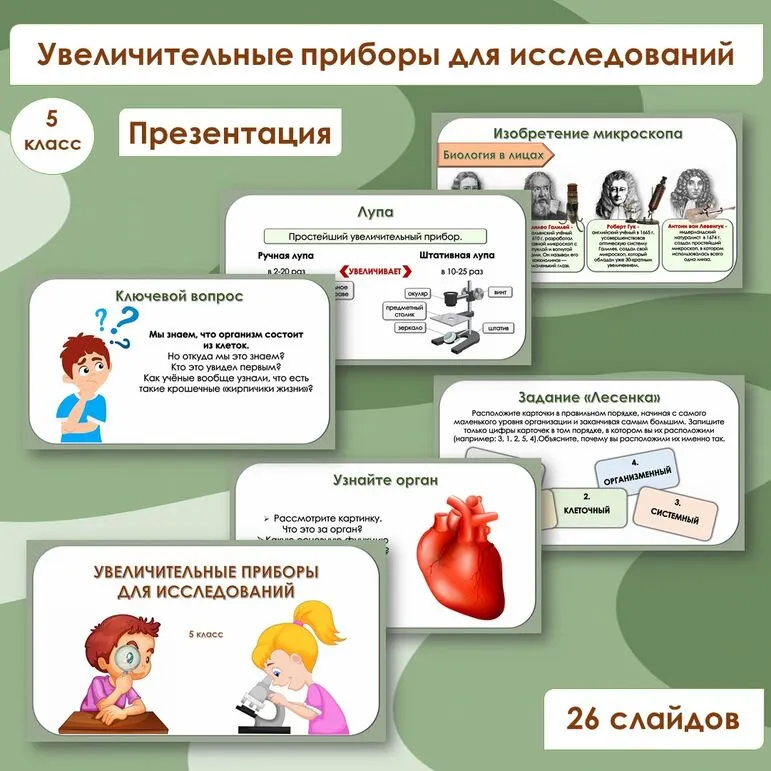 Презентация по биологии «Увеличительные приборы для исследований», 5 класс