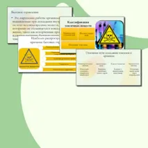 Презентация по ОБЗР 