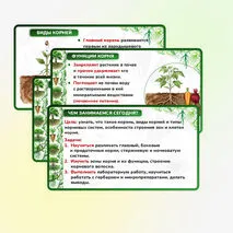 Презентация 
