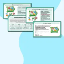 Презентация «Жизнедеятельность клетки». Биология 6 класс
