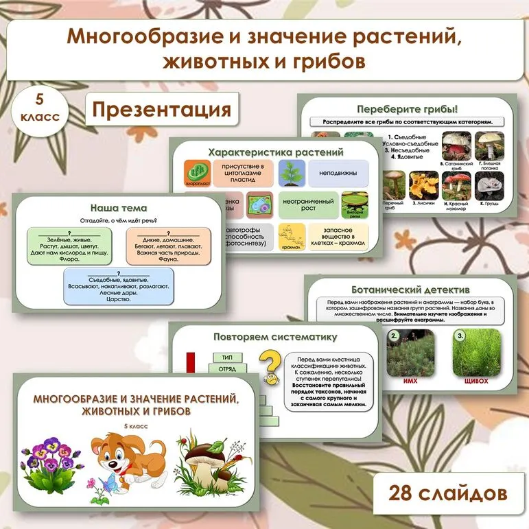 Презентация по биологии «Многообразие и значение растений, животных и грибов», 5 класс
