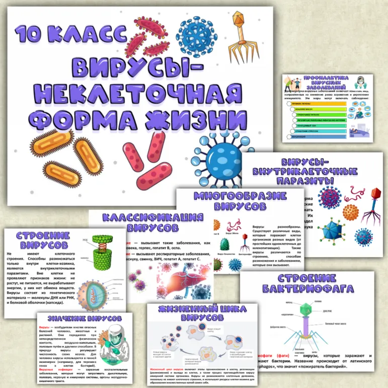 Презентация «Вирусы-неклеточная форма жизни». Биология 10 класс.