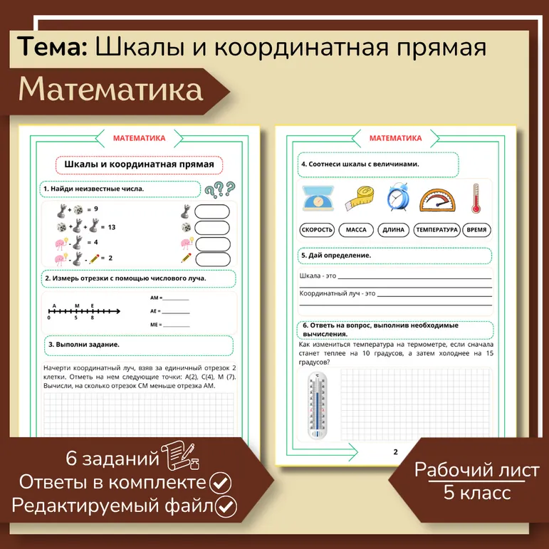 Рабочий лист «Шкалы и координатная прямая» 5 класс