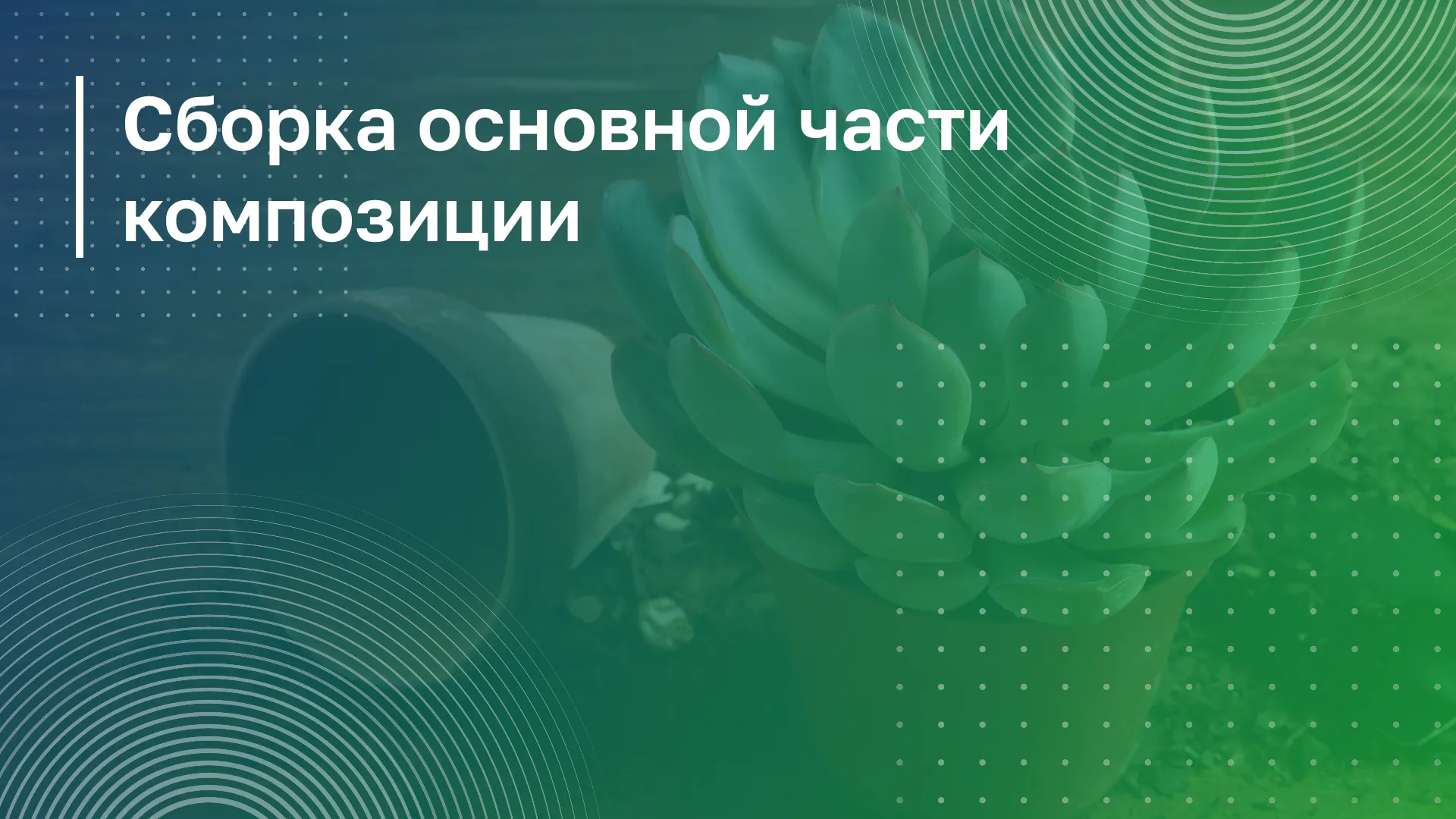 Обложка курса