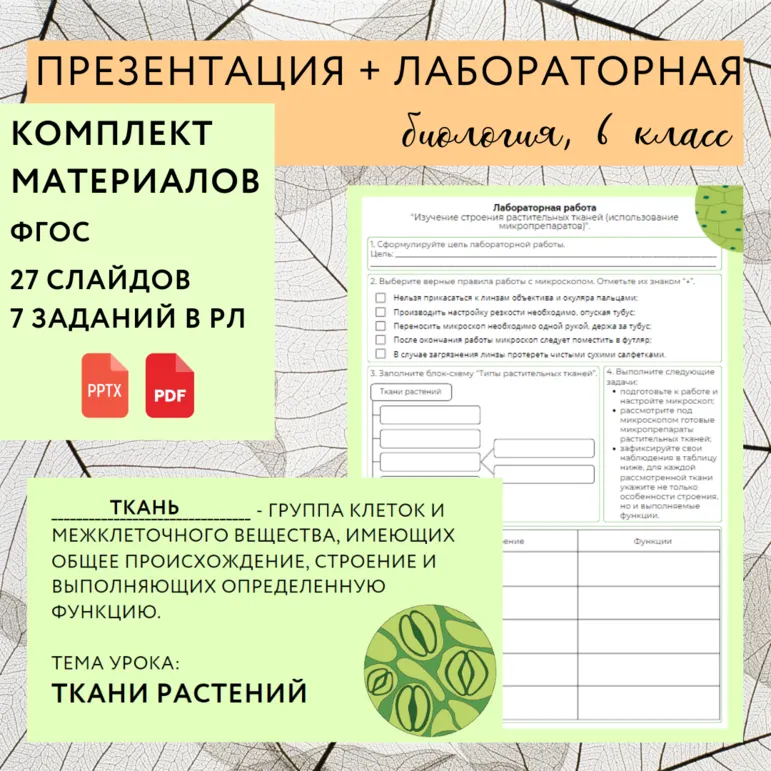 «Растительные ткани, их функции», 6 класс