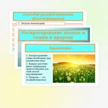 Презентация «Распространение плодов и семян в природе» 6 класс