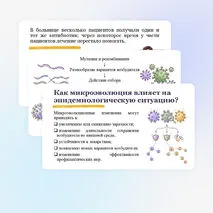 Презентация по биологии 