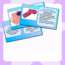 Презентация по биологии на тему: «Строение и химический состав клетки