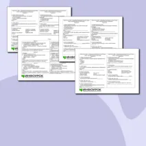 Карточки по теме: «Уникальные памятники культуры России: Кижи, памятники Великого Новгорода»
