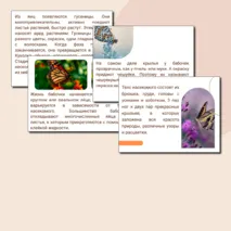 День бабочек