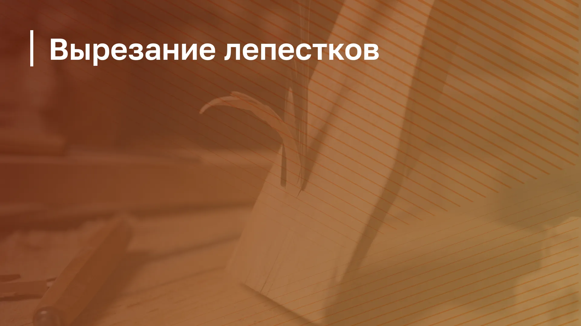Обложка курса
