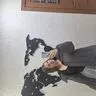 Зайцева Валерия Олеговна