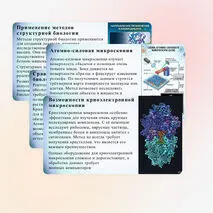 Презентация «Методы структурной биологии» (углубленный уровень)