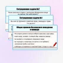 Презентация «Правила безопасного поведения в природной среде». ОБЗР. 9 класс