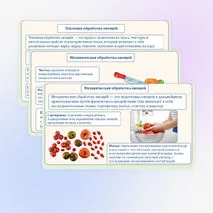 Основы рационального питания. Пищевая ценность овощей. Технологии обработки овощей